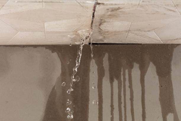 Professional Water Damage Repair technician working in Bulverde, TX
